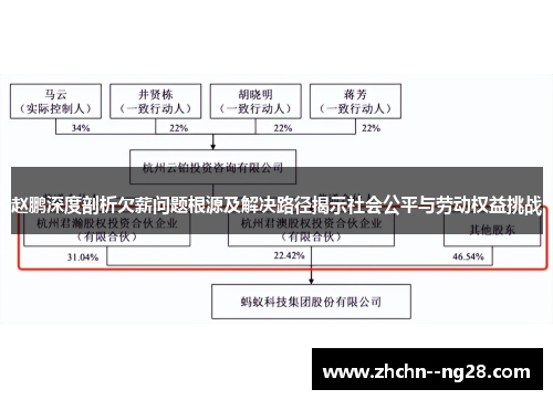 赵鹏深度剖析欠薪问题根源及解决路径揭示社会公平与劳动权益挑战