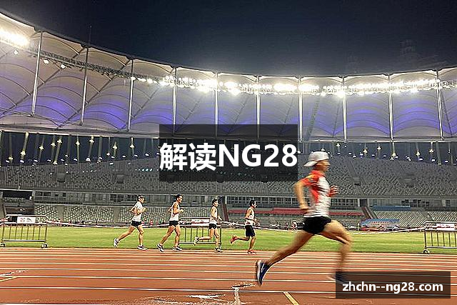 解读NG28